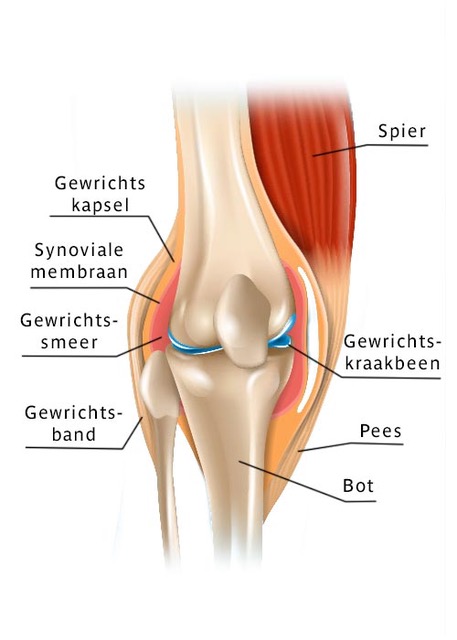 grafiek-ongemakken-gewrichten